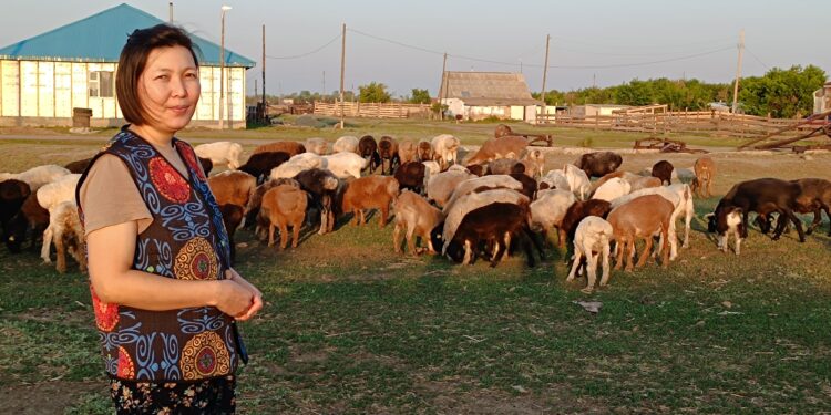 Шағын несиенің шарпатын көргендер