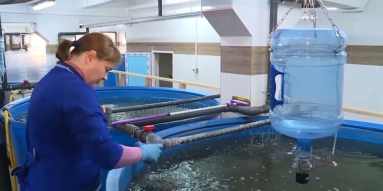 Ақтөбе облысында балық шаруашылығы екі есеге артты