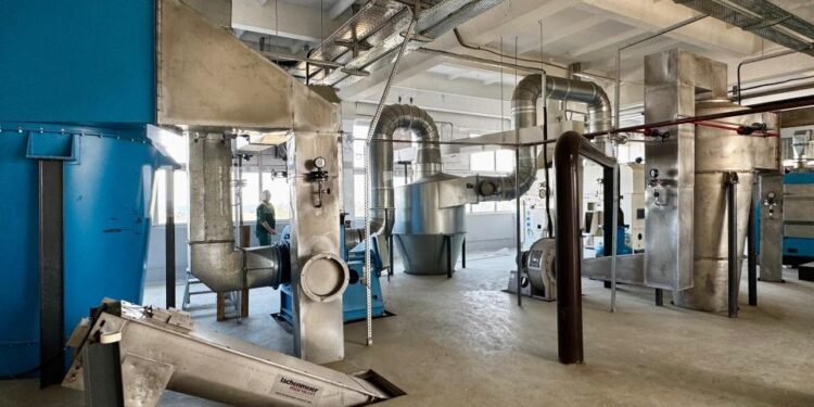 Алматы облысында 1 млн тонна өнім экспорттауға қауқарлы жоба іске қосылады