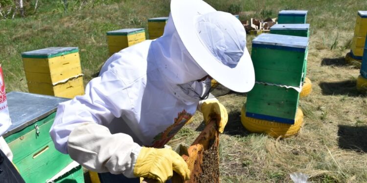 Алғаш рет Қазақстан ара шаруашылығы кәсіпорны Еуропалық Одақ тізіліміне енгізілді