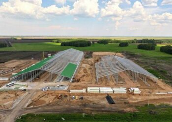 СҚО-да 8 мың бас ірі қараға арналған кешеннің құрылысы жүріп жатыр