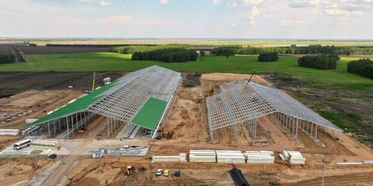 СҚО-да 8 мың бас ірі қараға арналған кешеннің құрылысы жүріп жатыр