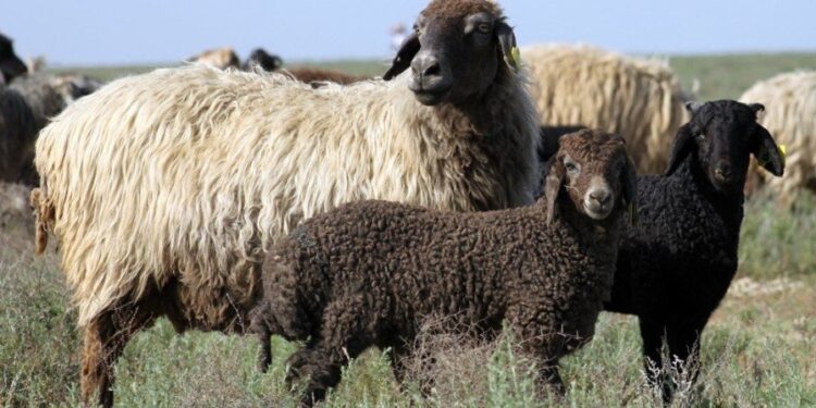 Мемлекет меншігіне қайтарылған 12,2 млн гектар жердің жартысы игеруге берілді