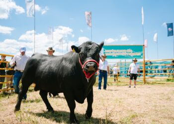 «LEPSI 2025» халықаралық ауыл шаруашылығы көрмесі өтеді