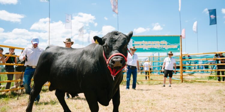 «LEPSI 2025» халықаралық ауыл шаруашылығы көрмесі өтеді