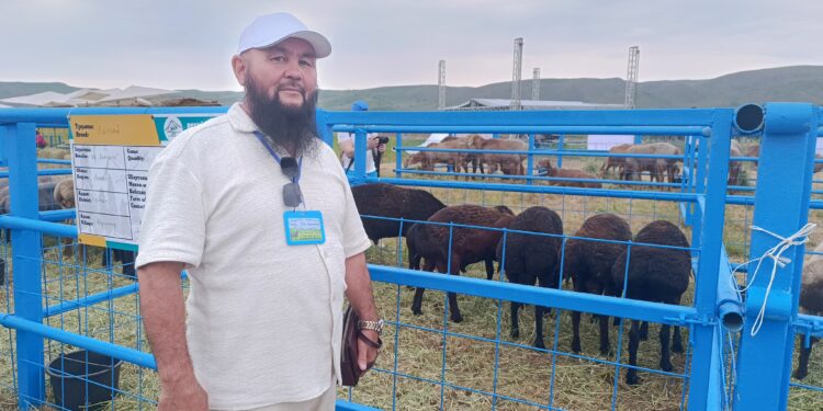 Фермер Берік Суликанов: Еділбайдан артық қой тұқымы жоқ