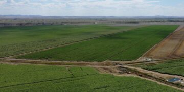 Берік Уәли: өнім өндіріп, халықты жұмыспен қамтыған азаматтарға қолдау көрсетуіміз керек