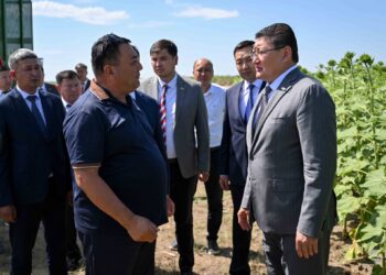 Берік Уәли: өнім өндіріп, халықты жұмыспен қамтыған азаматтарға қолдау көрсетуіміз керек