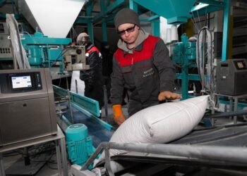 Қостанайда дәнді-бұршақ дақылдарын қаптау және буып-түю желісі іске қосылды