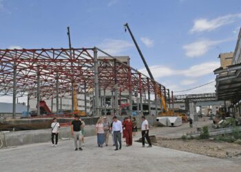 Алматы облысында ірі агроөнеркәсіптік кластер салынып жатыр