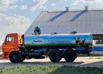 Құрамында A1 ақуызы жоқ сүт өндіріледі