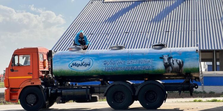 Құрамында A1 ақуызы жоқ сүт өндіріледі