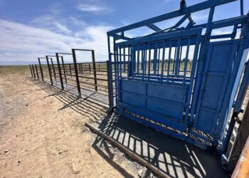 Ақсуат ауданында ветеринариялық қондырғылар орнатылып жатыр