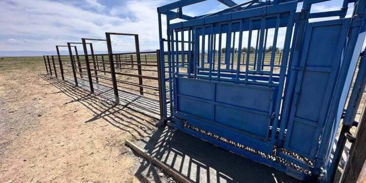 Ақсуат ауданында ветеринариялық қондырғылар орнатылып жатыр