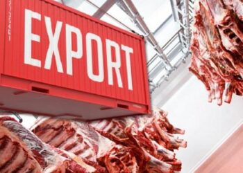 Қазақстан өңделген ет экспортын ұлғайтып келеді