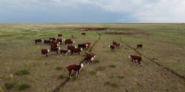 Қарағанды облысында «Жайлау» жобасы іске асырылып жатыр