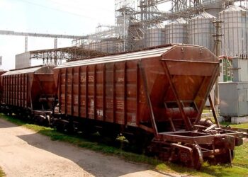 Қазақстан астық экспортын 58,4 пайызға арттырды