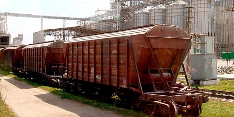 Қазақстан астық экспортын 58,4 пайызға арттырды