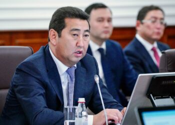 Айдарбек Сапаров: елімізде бес ірі май өңдеу зауыты салынып жатыр