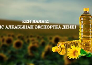 Кең дала 2: егіс алқабынан экспортқа дейін