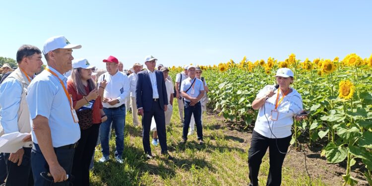 «Дала күні 2025» көрмесінде құрғақшылыққа төзімді тұқым түрлері таныстырылды