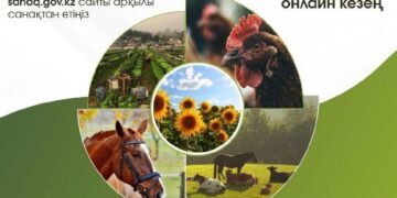 Бүгін ауыл шаруашылығы санағы басталды