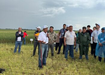 А.И. Бараев атындағы ғылыми-өндірістік орталықта Дала күні өтті