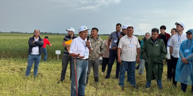 А.И. Бараев атындағы ғылыми-өндірістік орталықта Дала күні өтті