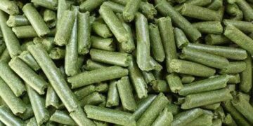 СҚО-да жоңышқадан жем өндіретін зауыттың құрылысы жүріп жатыр