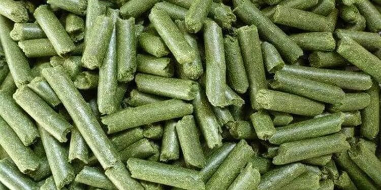 СҚО-да жоңышқадан жем өндіретін зауыттың құрылысы жүріп жатыр