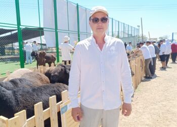 Біржан Елтаев: «Байсары» қойының 4 айлық қозылары 30 келі ет береді
