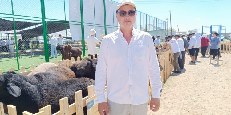 Біржан Елтаев: «Байсары» қойының 4 айлық қозылары 30 келі ет береді