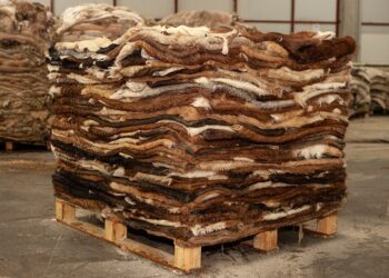 Отандық 7 компания сиыр терісін Қытайға экспорттай алатын болды