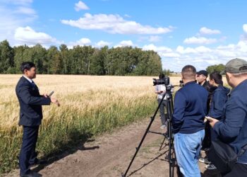 Аграрлық несие корпорациясы егін егетін 7 542 фермерді қаржыландырған