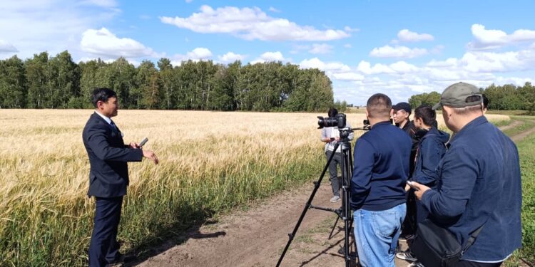 Аграрлық несие корпорациясы егін егетін 7 542 фермерді қаржыландырған