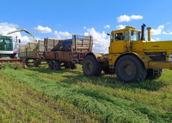 24 млн тоннадан астам мал азығы дайындалды