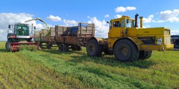 24 млн тоннадан астам мал азығы дайындалды