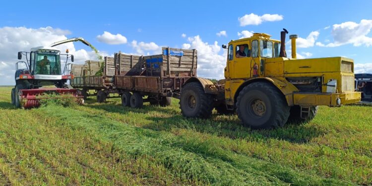 24 млн тоннадан астам мал азығы дайындалды