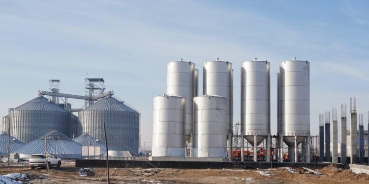 Жылына 150 мың тонна жүгері өңдейтін крахмал-сірне зауыты іске қосылады