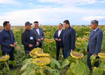 Берік Уәли «Алтын-Алтай» шаруа қожалығына көмектесуді тапсырды