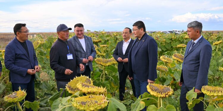 Берік Уәли «Алтын-Алтай» шаруа қожалығына көмектесуді тапсырды