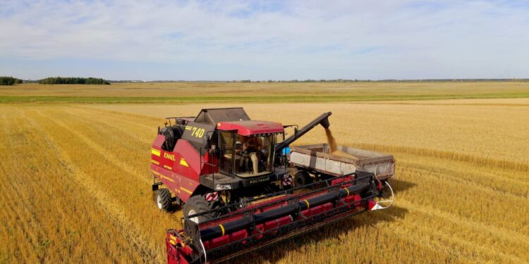 Елімізде 11,6 млн тонна астық жиналды