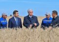 Президент Ақмола облысындағы егін жинау науқанымен танысты