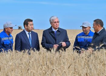 Президент Ақмола облысындағы егін жинау науқанымен танысты