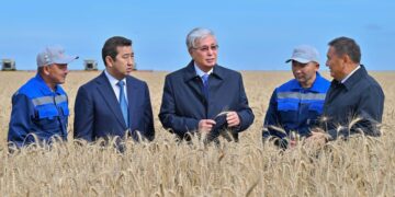 Президент Ақмола облысындағы егін жинау науқанымен танысты