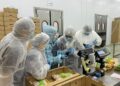 Қытай нарығына өнім шығаратын кәсіпорындардың қатары артады