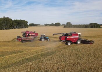 Елімізде 14,8 млн тонна астық жиналды