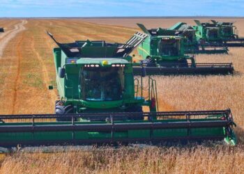 Елімізде 16,6 млн тонна астық жиналды