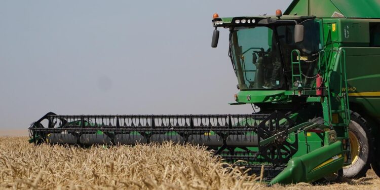 Биыл Ақмола облысында астық мол болады