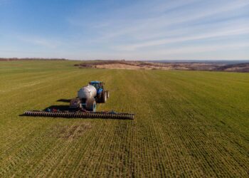 Аграрлық несие корпорациясы «Кең дала 2» бағдарламасын биыл 1 қазанда іске қосады